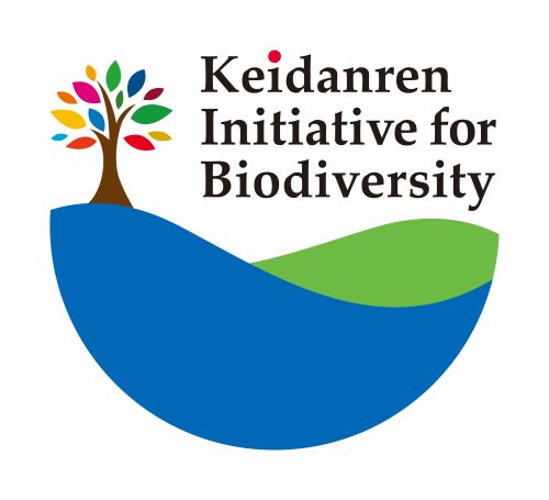 logo:promotional partneer of the Declaration